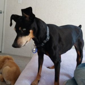 Meet your Posher, Mark